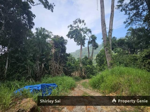 Tanarimba,Janda Baik,Bentong