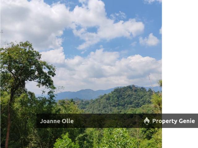 Tanarimba Janda Baik Rainforest Residential Estate