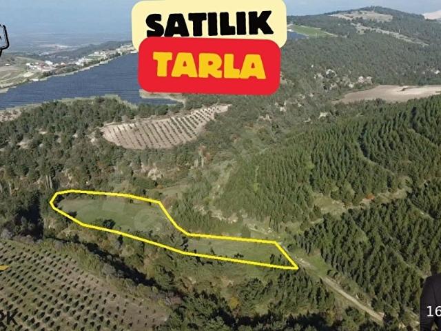 Tanberk Satılık Tarla 6.826 m2 Taştepe