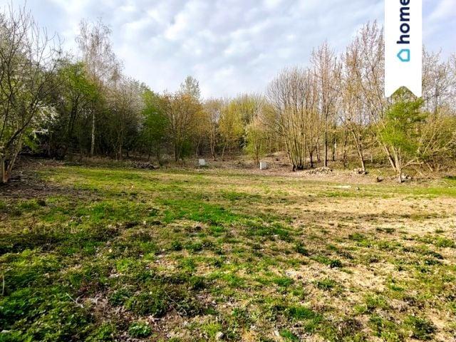 Taneczna 1 021 m², Trzebnica