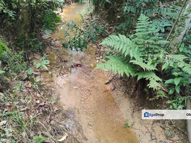 Tanjong Malim