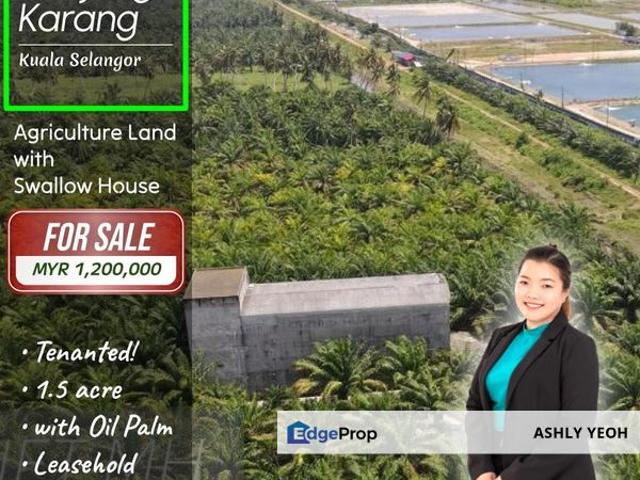 Tanjong Karang