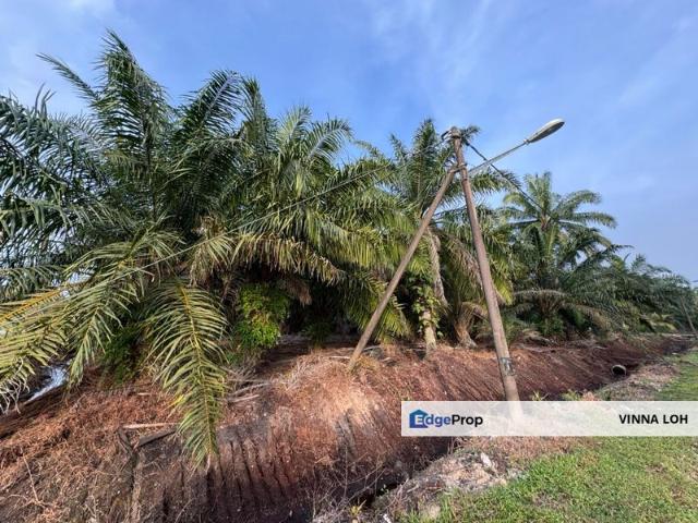 Tanjung Bin Agriculture Land