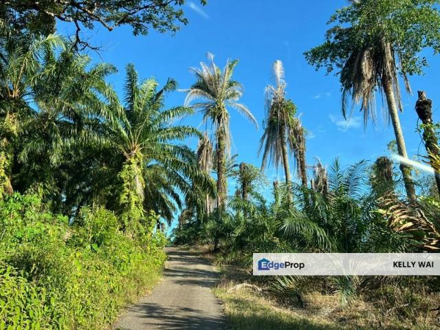 Tanjung Kupang
