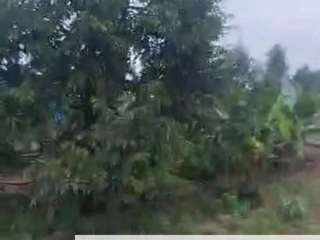 Tanjung Kupang