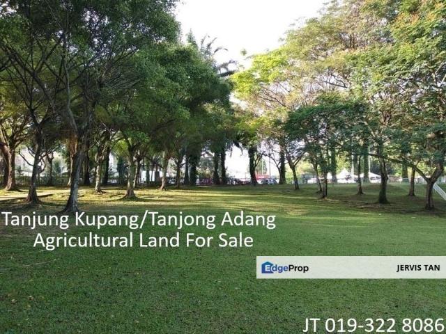 Tanjung Kupang
