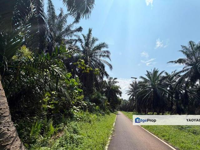Tanjung Kupang