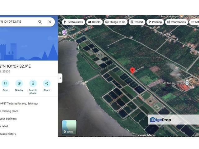 Tanjung Karang 1.5 acre land Bird nest house for sale