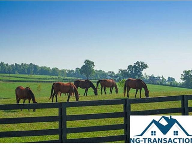 Tannerre en Puisaye Vente Propriété/château 89