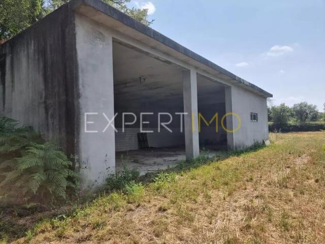 Tábua Coimbra LS91598458
