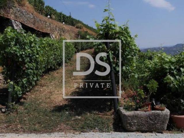 Tabuaço Viseu LS87410377