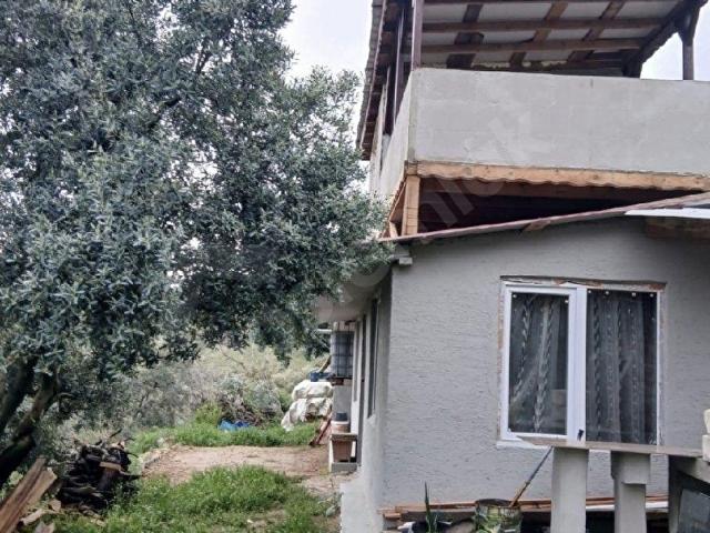 TACİR KÖYÜNDE SÜPER GÖL MANZARALI İÇERSİNDE KONTEYNER EV VE FIRIN OLAN ZEYTİN BAHÇESİ
