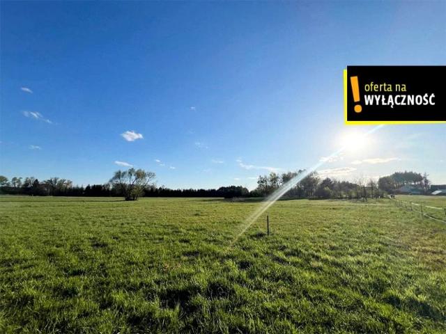 Tadeusza Kościuszki 1 268 m², Rytwiany