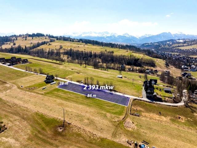 Tadeusza Kościuszki 2 393 m², Biały Dunajec