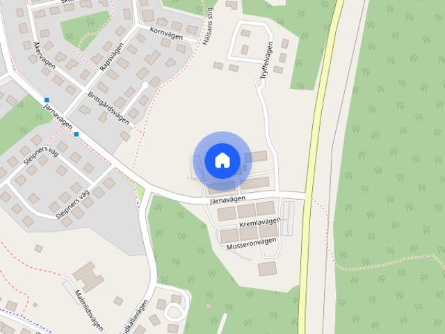 Taggsvampsvägen 12
