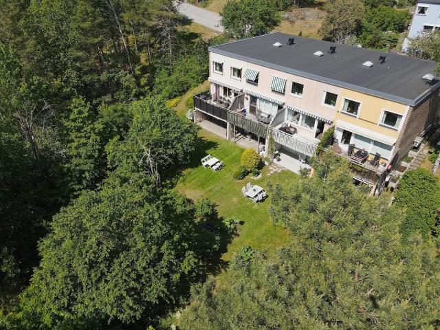 Taggsvampsvägen 19