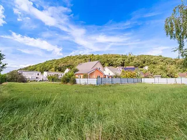 Tagolsheim 68720 Achat / Vente terrain