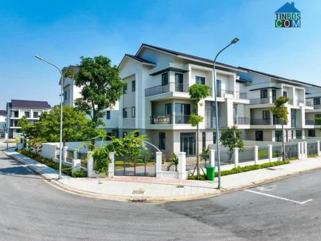 Tài chính 2, x tỷ sở hữu căn biệt thự sl sang trọng 180m2