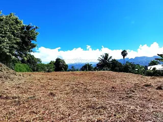 Taiarapu Est 98719, 98720, 98721, 98722 Achat / Vente terrain