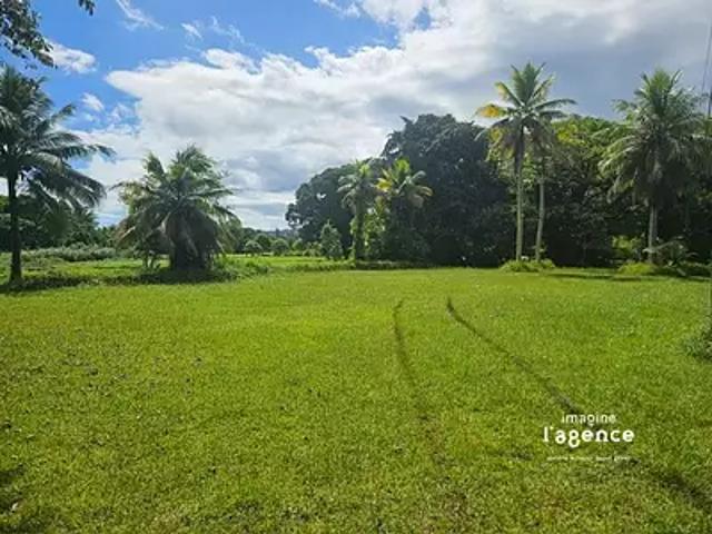 Taiarapu Est 98719 Achat / Vente terrain