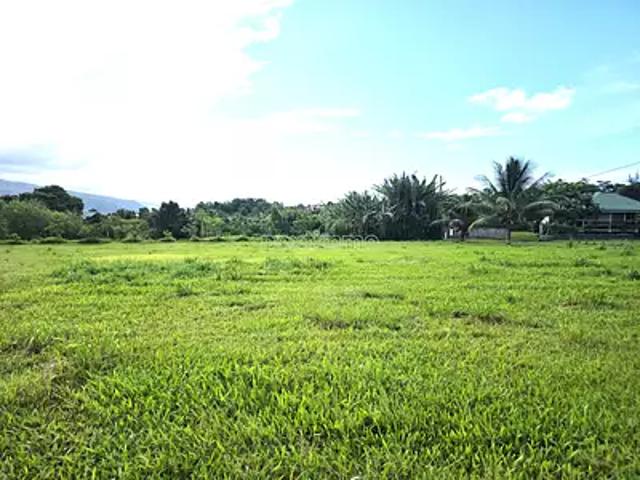 Taiarapu Est 98719 Achat / Vente terrain