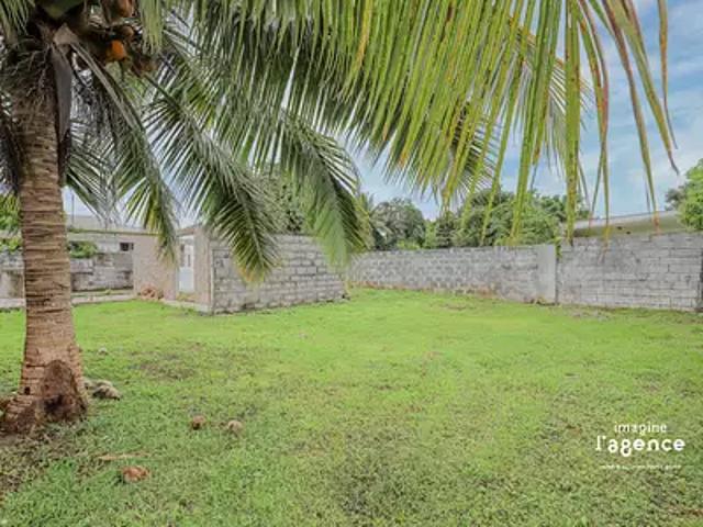 Taiarapu Est 98719 Achat / Vente terrain