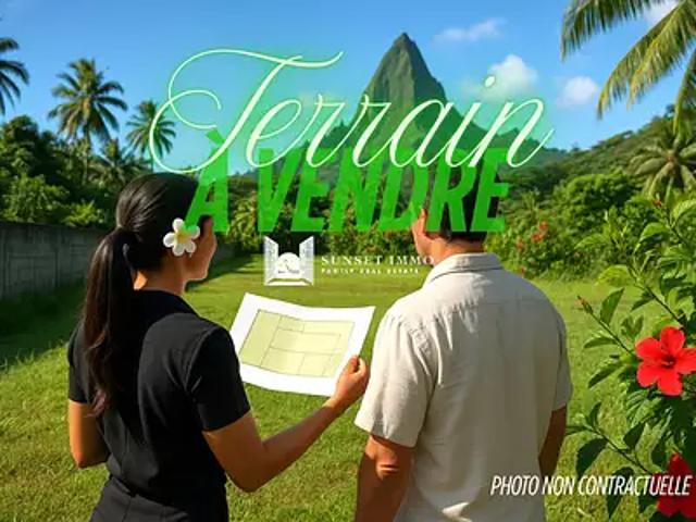 Taiarapu Est 98719 Achat / Vente terrain