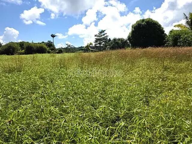 Taiarapu Est 98719 Achat / Vente terrain