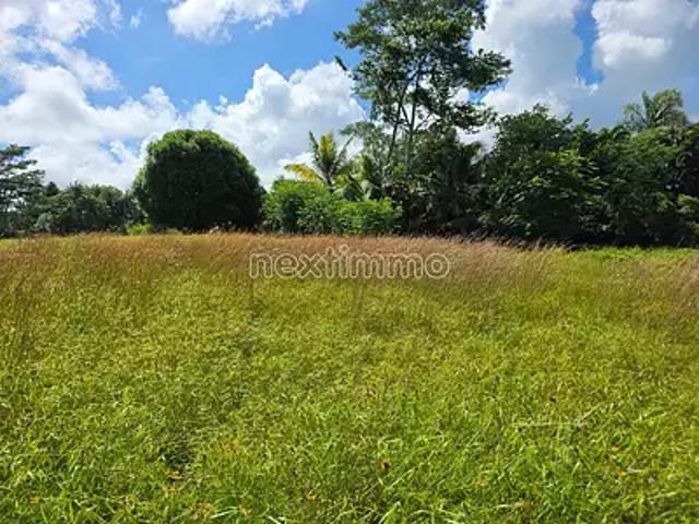 Taiarapu Est 98719 Achat / Vente terrain