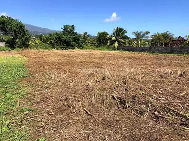 Taiarapu Est 98719 Achat / Vente terrain