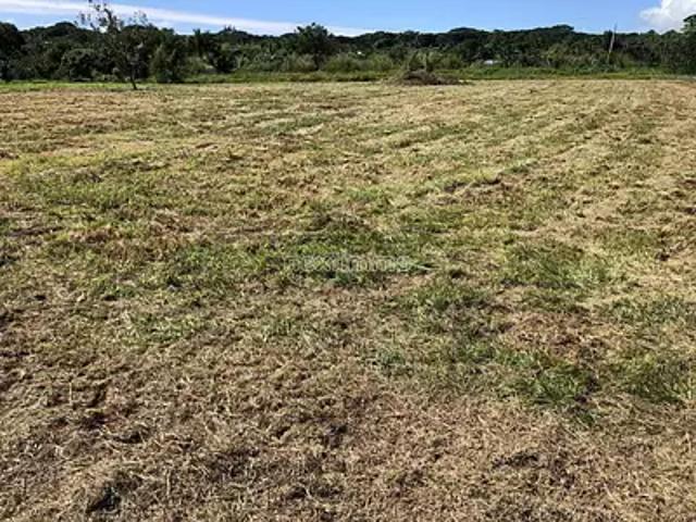 Taiarapu Est 98719 Achat / Vente terrain