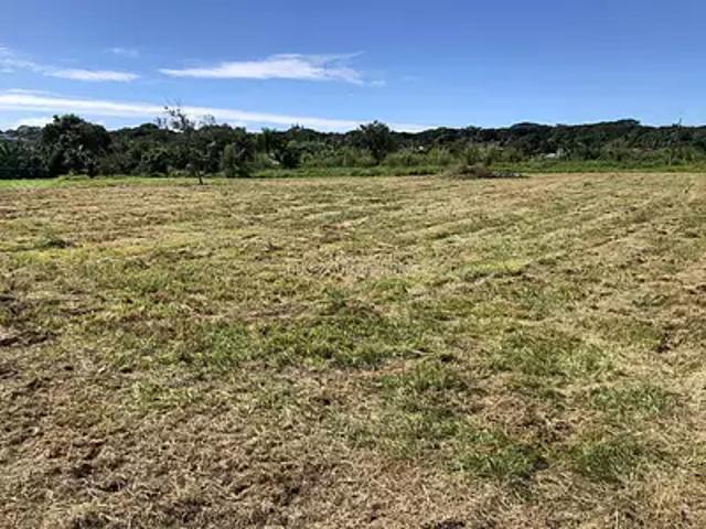 Taiarapu Est 98719 Achat / Vente terrain