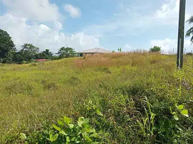 Taiarapu Est 98719 Achat / Vente terrain