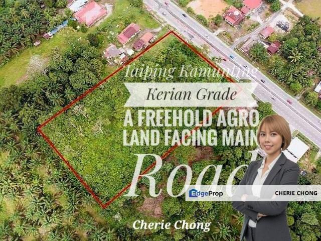 Taiping Kamunting Kerian Grade A Freehold Agricultural Land Facing Main Road Included Petrol Station Plan