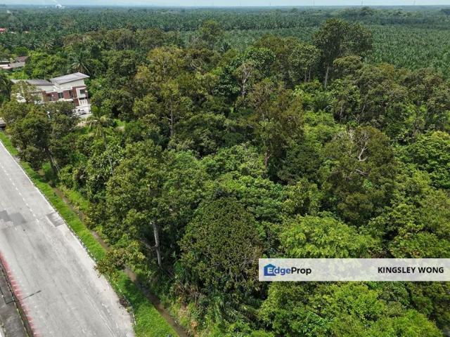 Taiping Kamunting kerian Freehold Flat Land Near Taiping Utara Toll Plaza