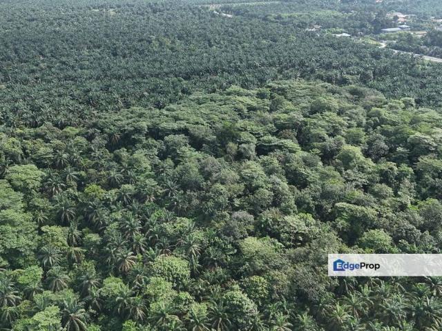 taiping perak industry zoning huge land