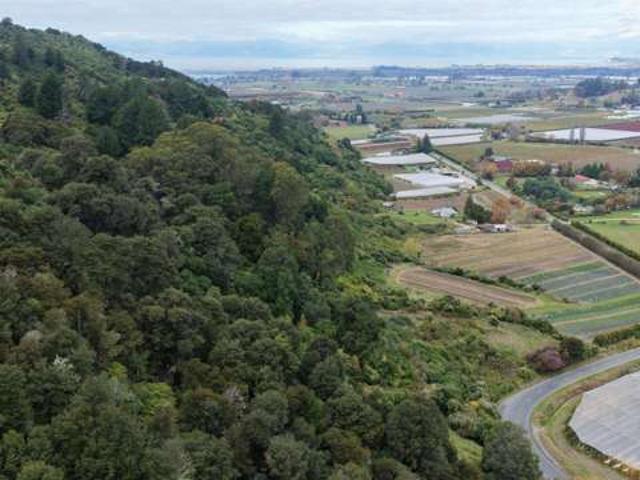 Takaka Hill Highway, Motueka, Tasman