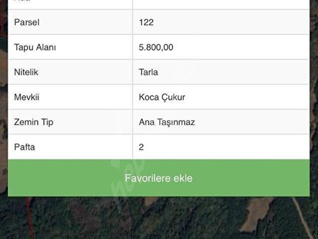 TAKASA AÇIK TARLA