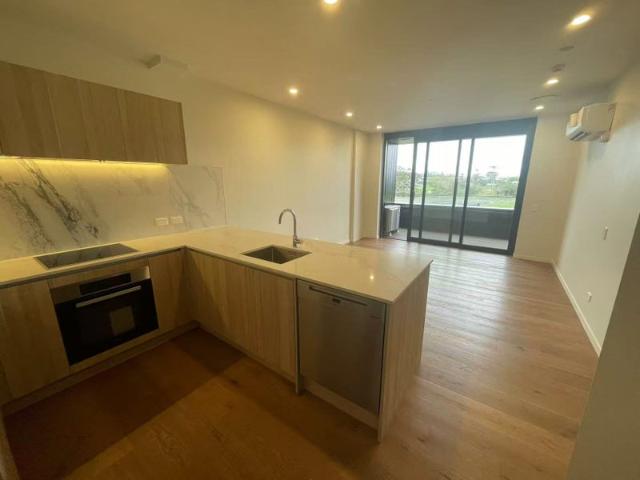 takapuna, 1 bedroom