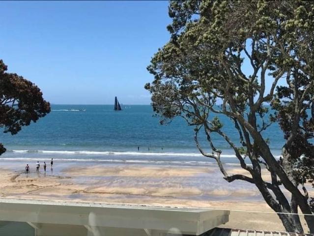 takapuna, 1 bedroom