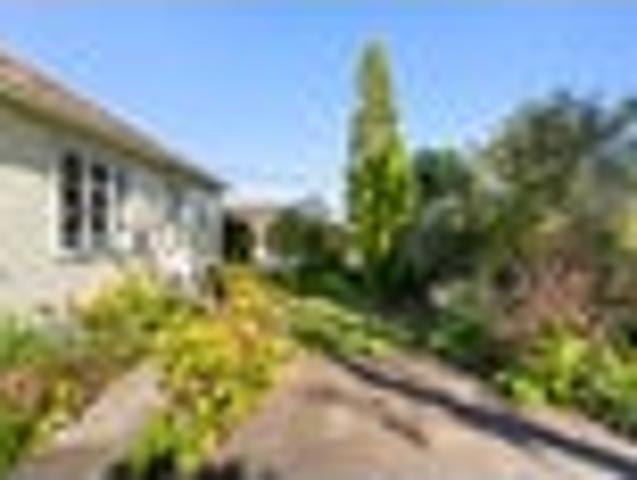 Takapuna cottage + THAB goldmine