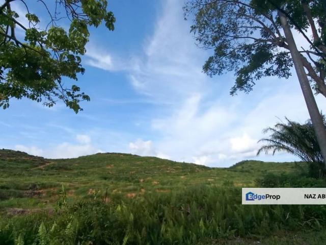Talula Hill, Kluang, Freehold Land [RESIDENTIAL DEVELOPMENT LAND] For Sale