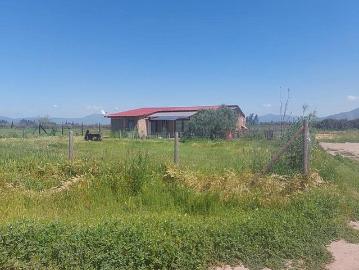 Talagante, Camino los perros, camino lonquén sur