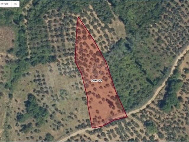 TALATBEY'de SATILIK 3.149 M2 BAHÇE NİTELİĞİNDE