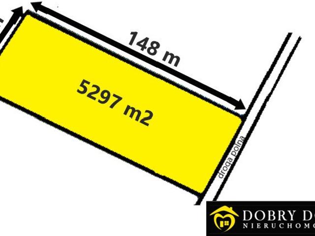 Działka 5297 m² z lasem i spokojem w Talkowszczyźnie