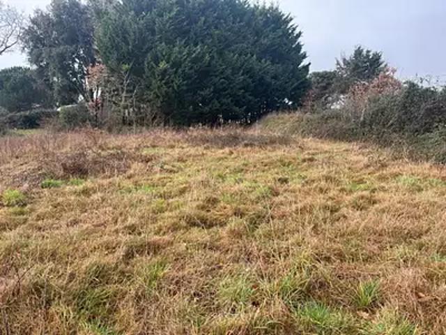 Talmont Saint Hilaire 85440 Achat / Vente terrain