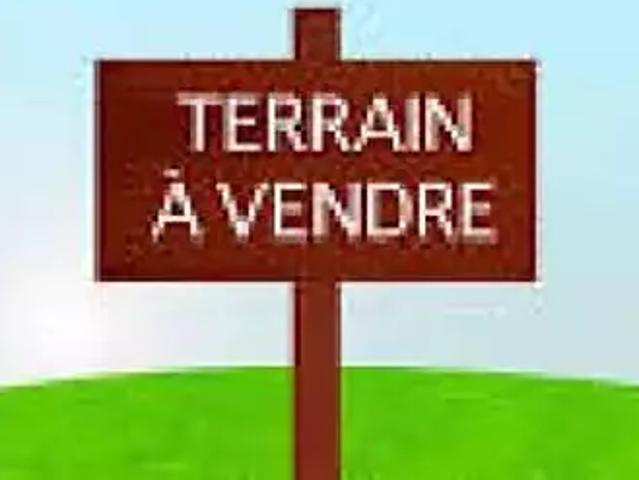 Talmont Saint Hilaire 85440 Achat / Vente terrain