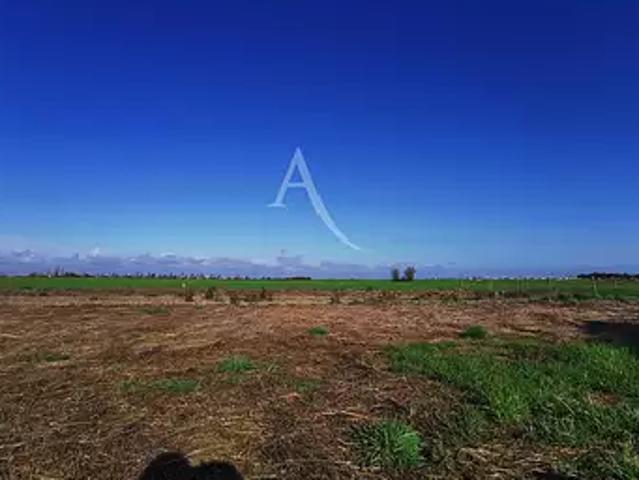 Talmont Saint Hilaire 85440 Achat / Vente terrain