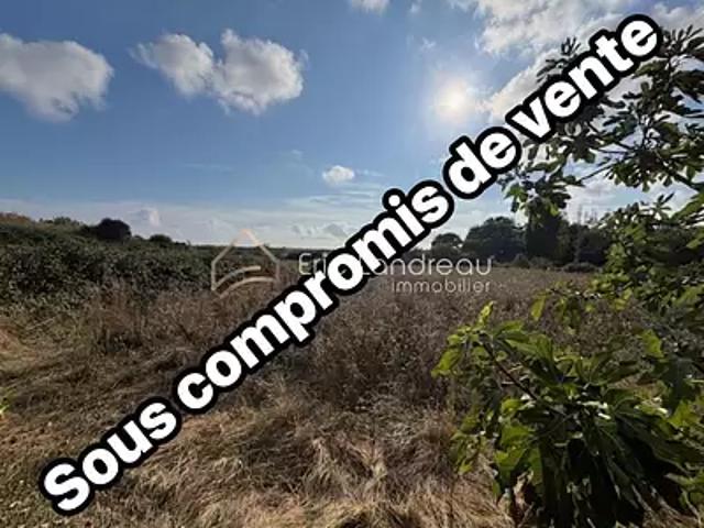 Talmont Saint Hilaire 85440 Achat / Vente terrain