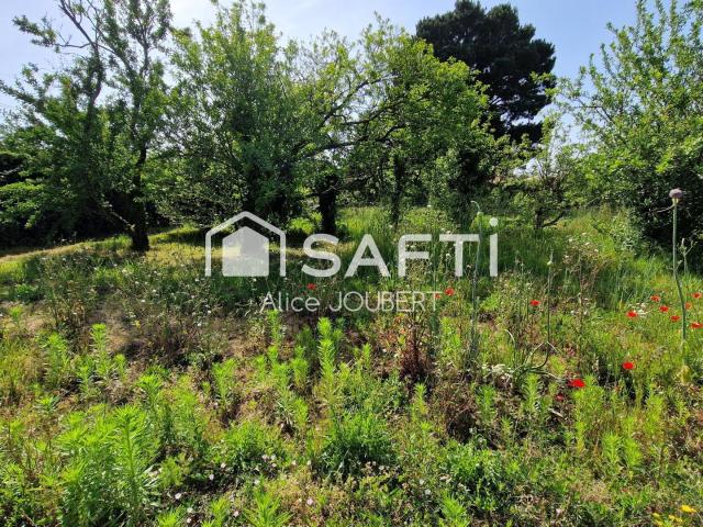 Talmont Saint Hilaire Vente Terrain 85